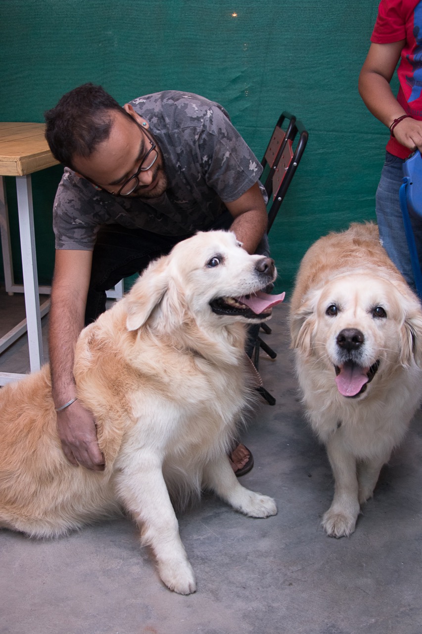 Furventures - Pet Adventures & Events - Photo 14